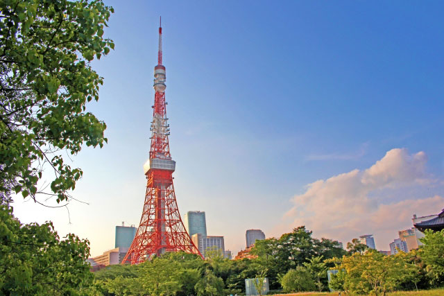 東京タワーをバックに前撮り＆フォトウェディング